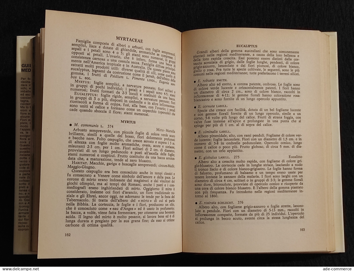 Guida alla Flora Mediterranea - O. Polunin & A. Huxley - Rizzoli Ed. - 1978 I Ed.