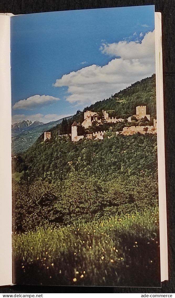 Il Lago Di Caldonazzo - Itinerari Pergine, Caldonazzo, Calceranica - 1974 - Tourisme, Voyages