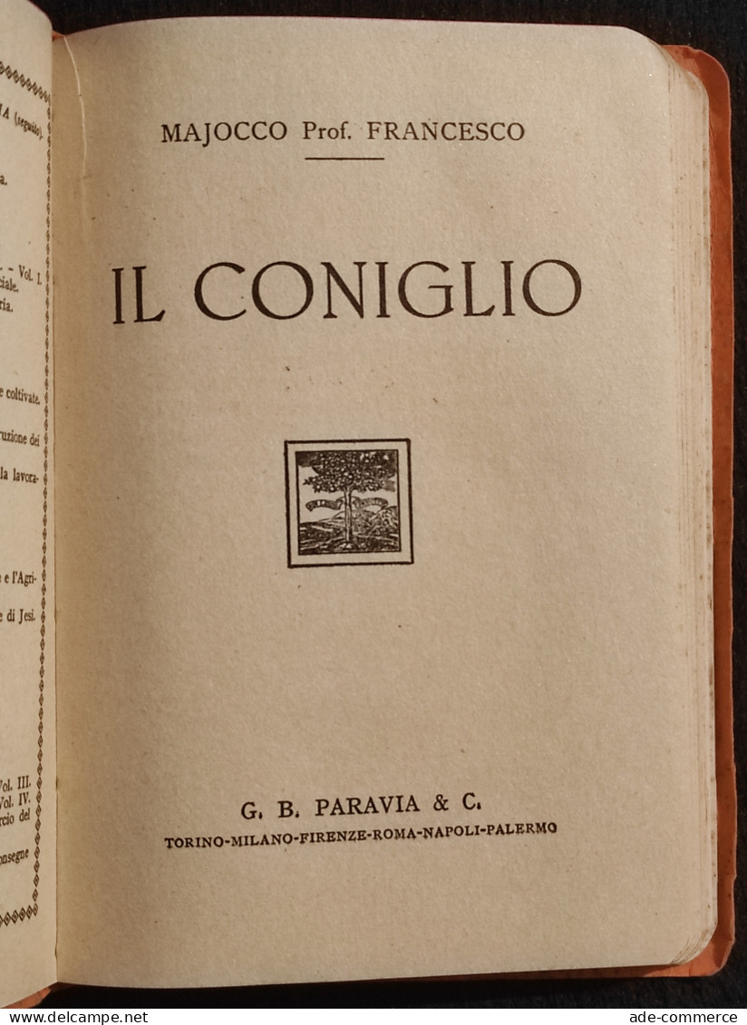 Il Coniglio - F. Majocco - Ed. Paravia - 1932 - Animales De Compañía