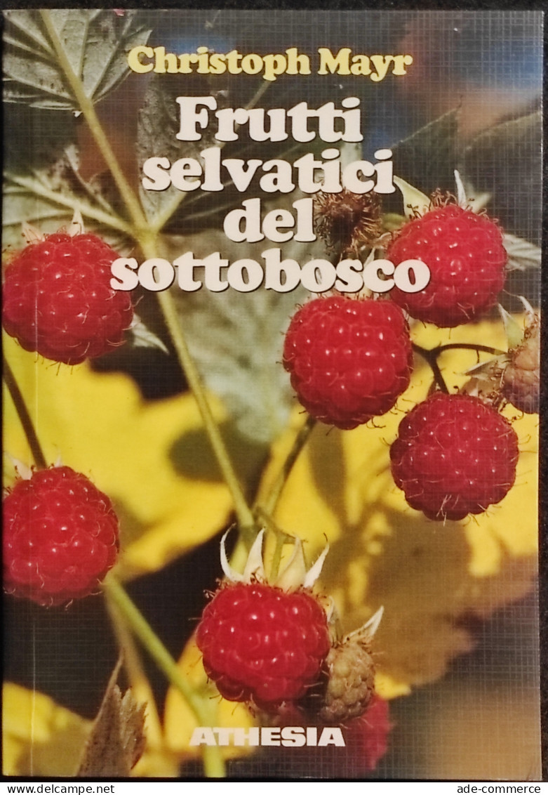 Frutti Selvatici Del Sottobosco - C. Mayr - Ed. Athesia - 1990 - Jardinería