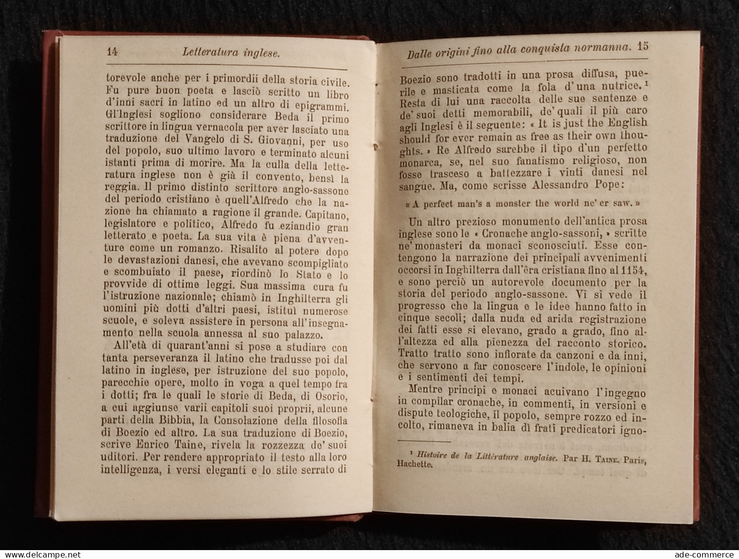 Letteratura Inglese - E. Solazzi - Manuali Hoepli - 1889 - Collectors Manuals