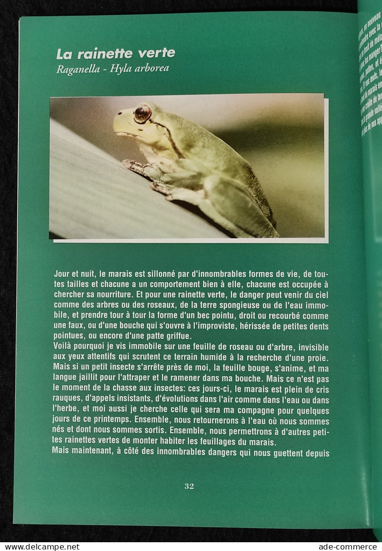 Aux Yeux Des Autres - R. Bessi - 1997 - Animaux De Compagnie