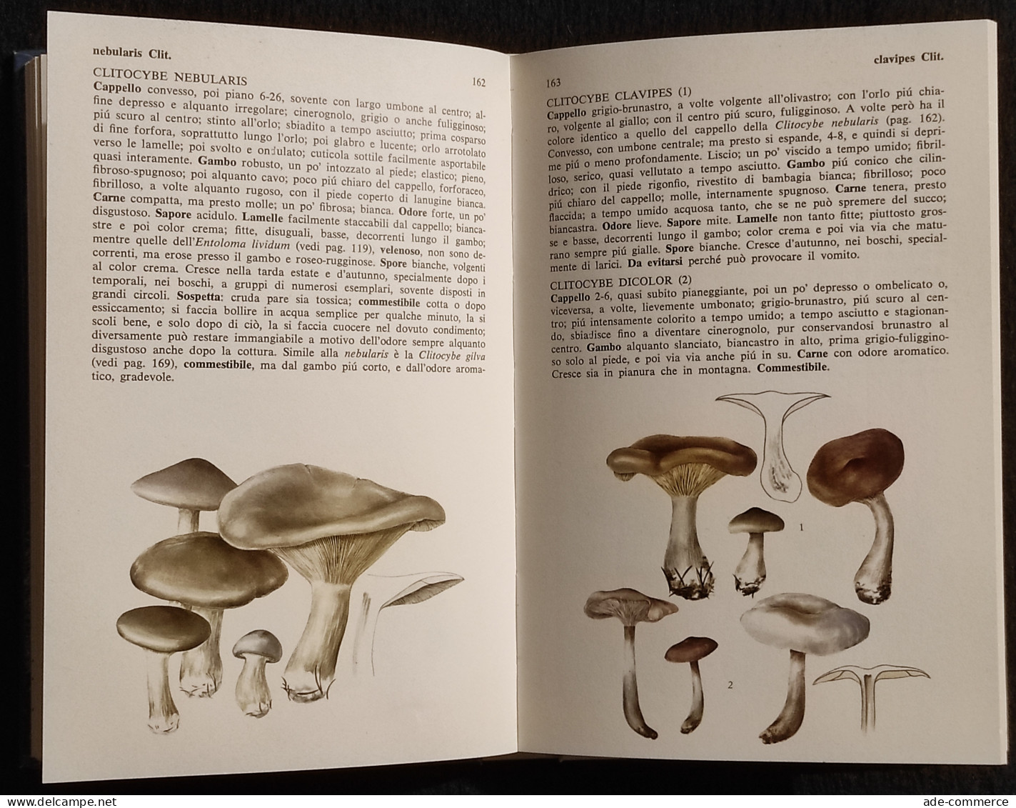 L'Atlante Dei Funghi - G. Pace - Ed. Mondadori - 1980 - Jardinería