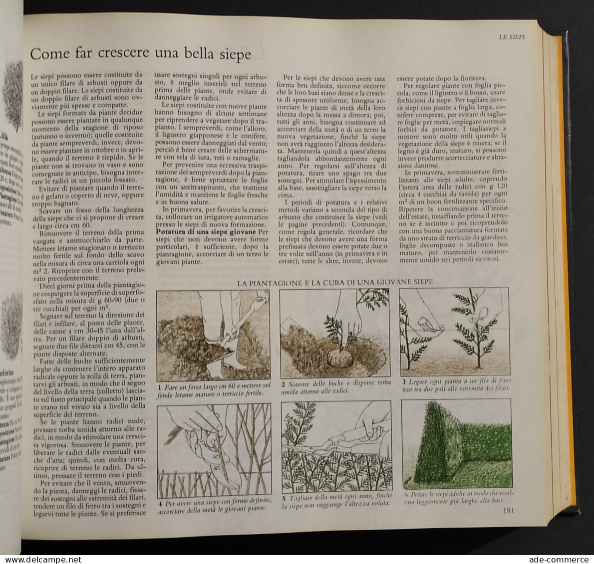 Giardinaggio Senza Problemi - Selezione Dal Reader's Digest - 1981 - Jardinage