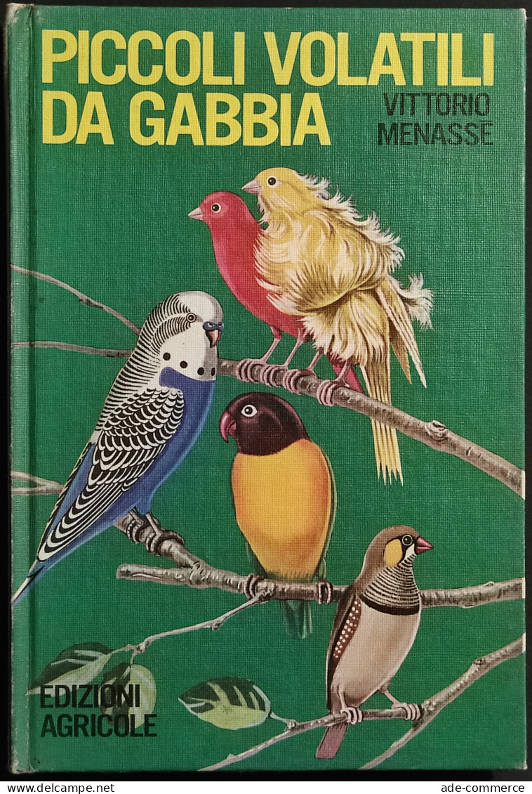 Piccoli Volatili Da Gabbia - V. Menasse - Ed. Agricole - 1969 - Gezelschapsdieren