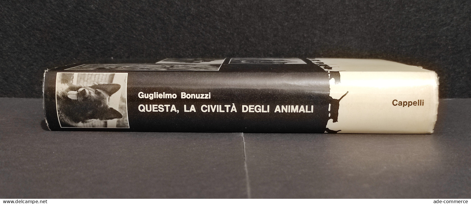 Questa, La Civiltà Degli Animali - G. Bonuzzi - Ed. Cappelli - 1964 I Ed. - Gezelschapsdieren