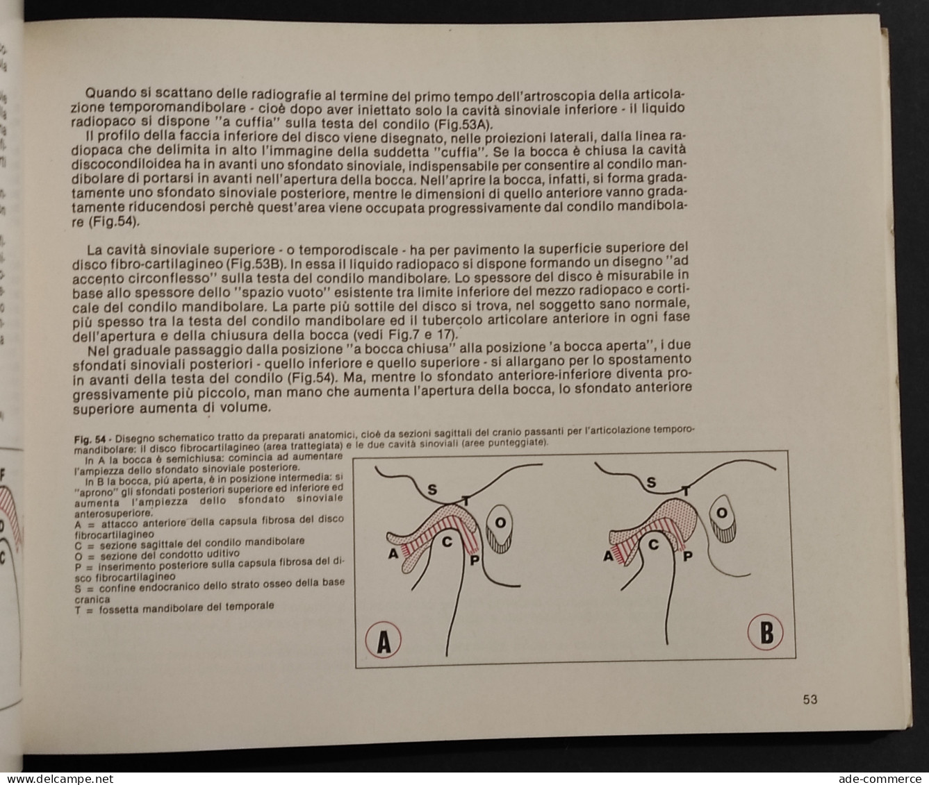 Le Articolazioni Temporomandibolari - P. Pellegrini - G. Calura - Pfizer - 1984 - Medizin, Psychologie