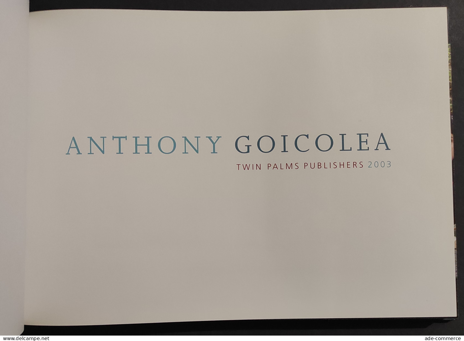 Anthony Goicolea - 2003 - Twin Palms Publishers - Fotografie