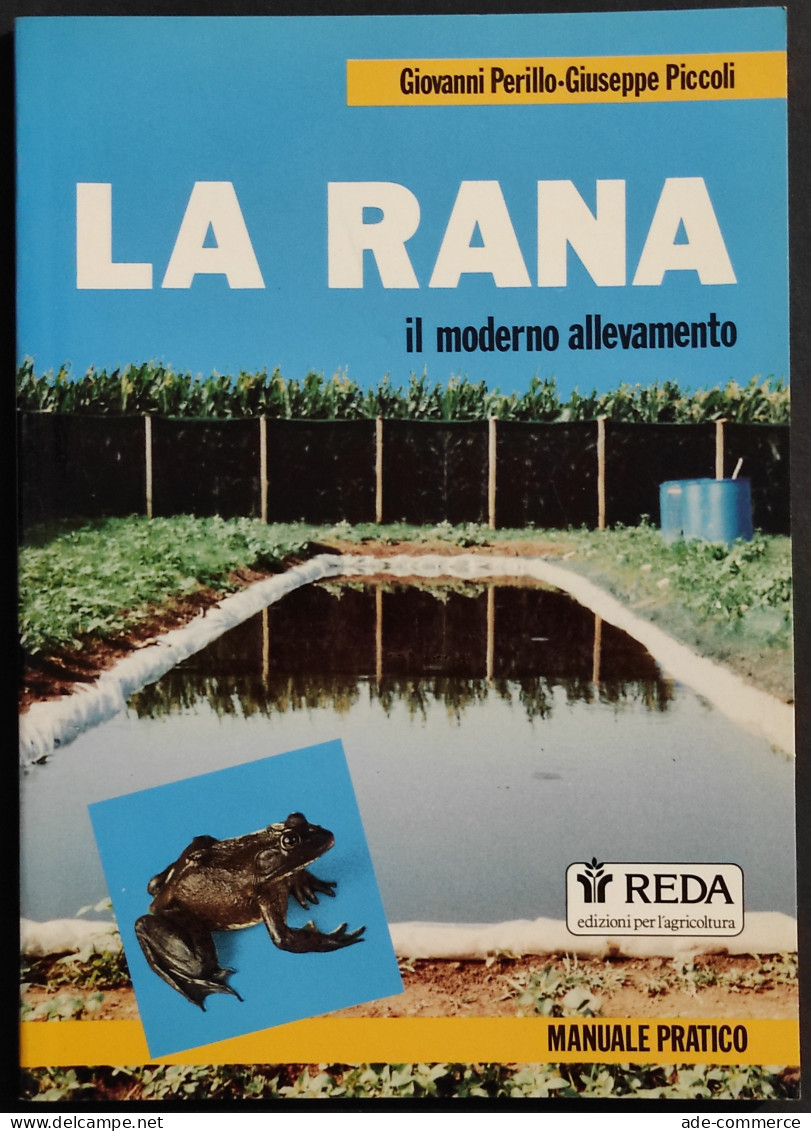 La Rana - Il Moderno Allevamento - G. Perillo, G. Piccoli - Ed. REDA - 1989 - Animali Da Compagnia