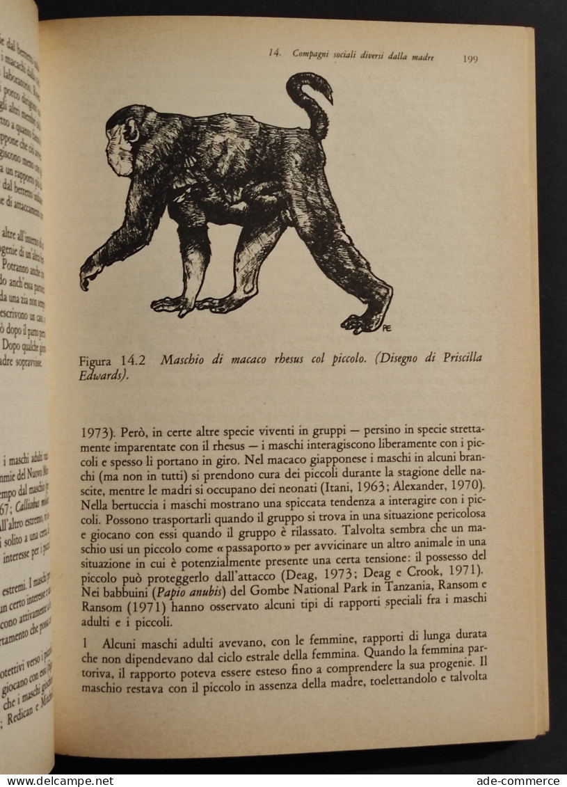 Le Basi Biologiche Del Comportamento Sociale Umano - Hinde - Ed. Zanichelli - 1979 - Mathematics & Physics