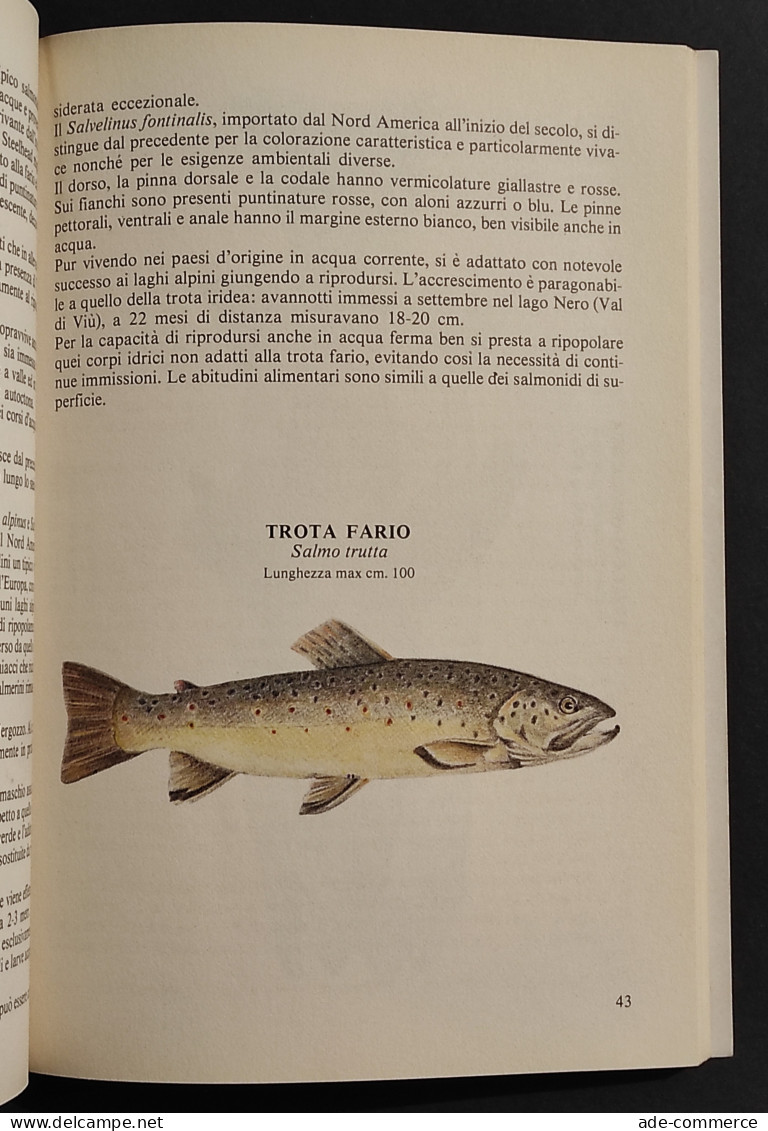 Piemonte - Acque-Pesci-Pesca - G. Forneris - Ed. Eda - 1984 - Caccia E Pesca