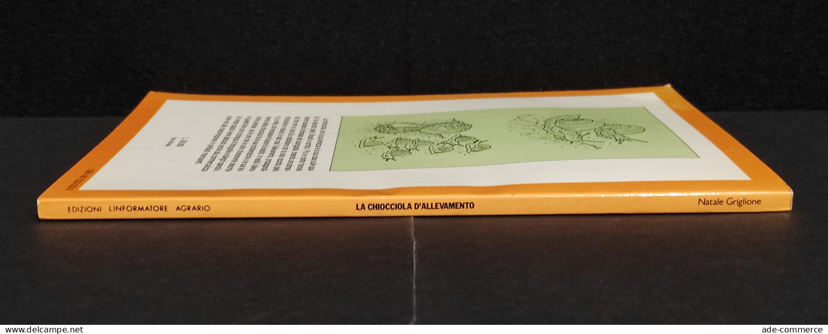 La Chiocciola D'Allevamento - N. Griglione - Ed. L'Informatore Agrario - 1990 - Giardinaggio