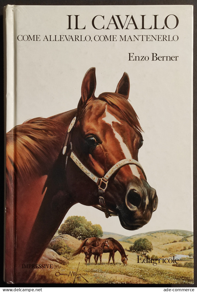 Il Cavallo - Allevarlo, Mantenerlo - E. Berner - Ed. Edagricole - 1988 I Ed. - Gezelschapsdieren