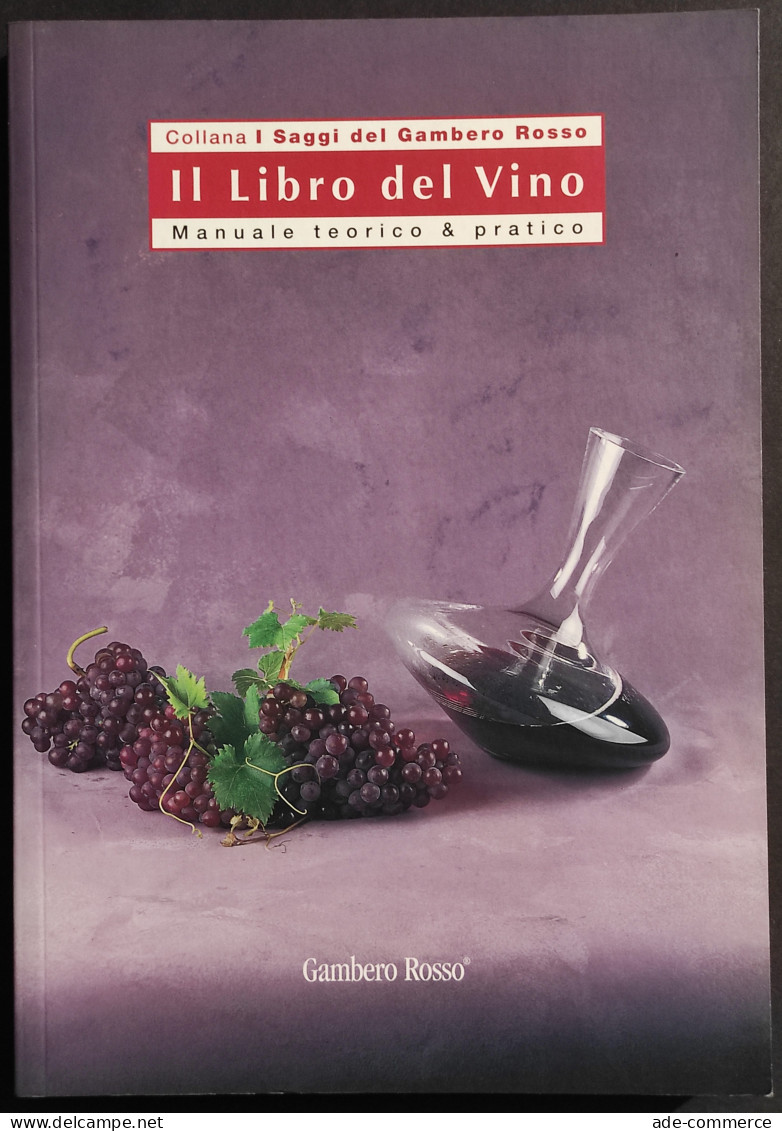 Il Libro Del Vino - Manuale Teorico E Pratico - Gambero Rosso - 2004 - Casa Y Cocina