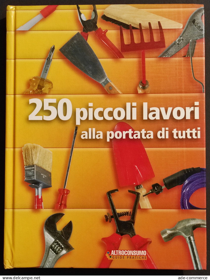 250 Piccoli Lavori Alla Portata Di Tutti - Guide Altroconsumo - 2006 - Manuali Per Collezionisti