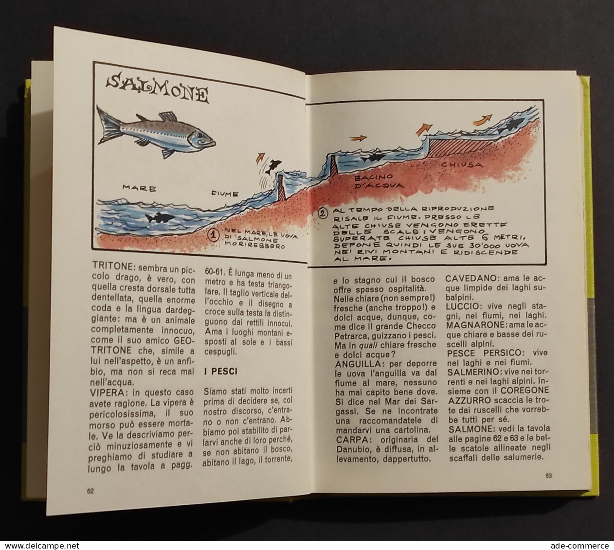 Manuale Di Yoghi - Hanna Barbera - Ed. Mondadori - 1972 I Ed. - Kids