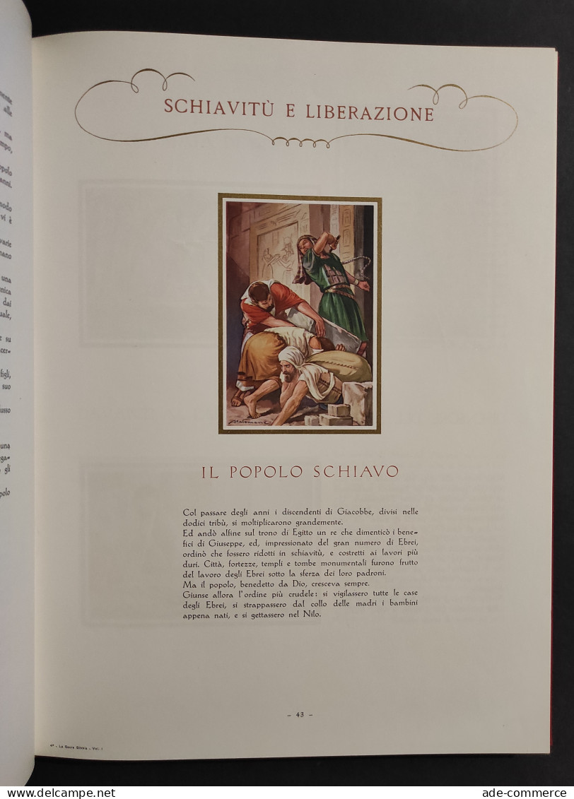 La Sacra Bibbia Compendiata E Illustrata - F. Perlatti - Ed. Ricordi - 2 Vol. - Religione