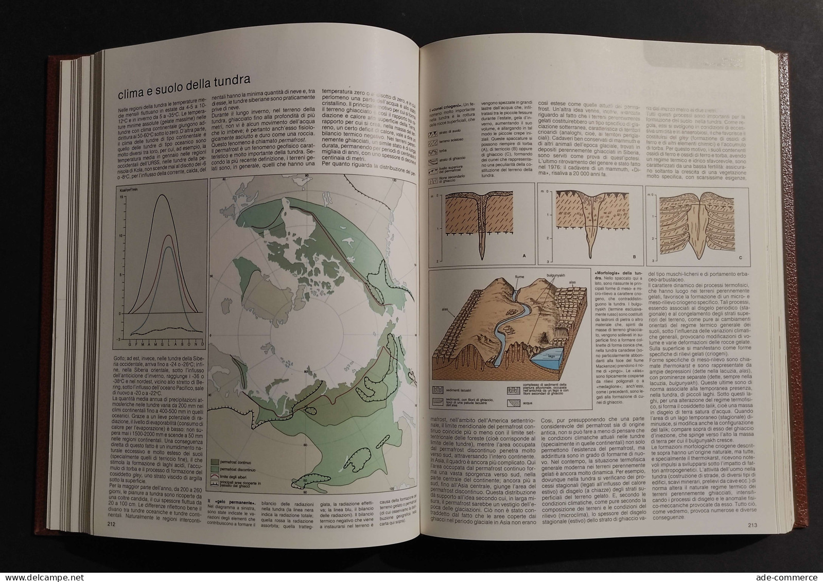 Il Pianeta Terra - Ed. Fabbri - 1981 - Mathématiques Et Physique