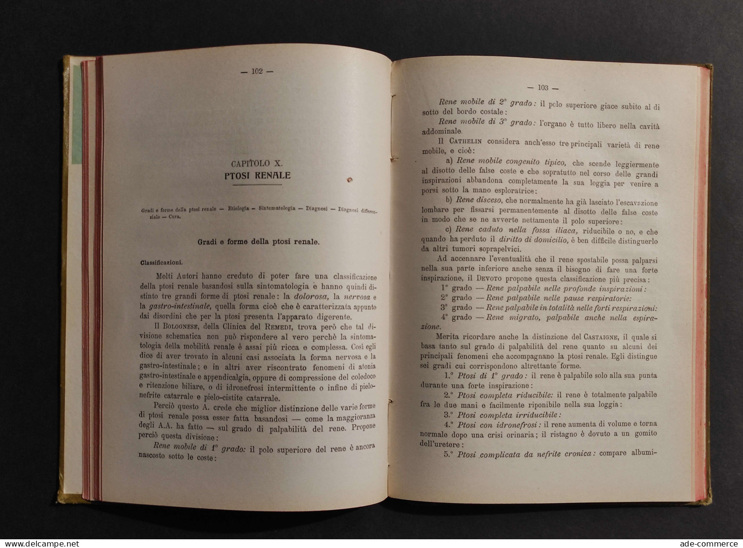 Il Progresso Terapeutico - Malattie Dei Reni - Annuario 1914 - Médecine, Psychologie