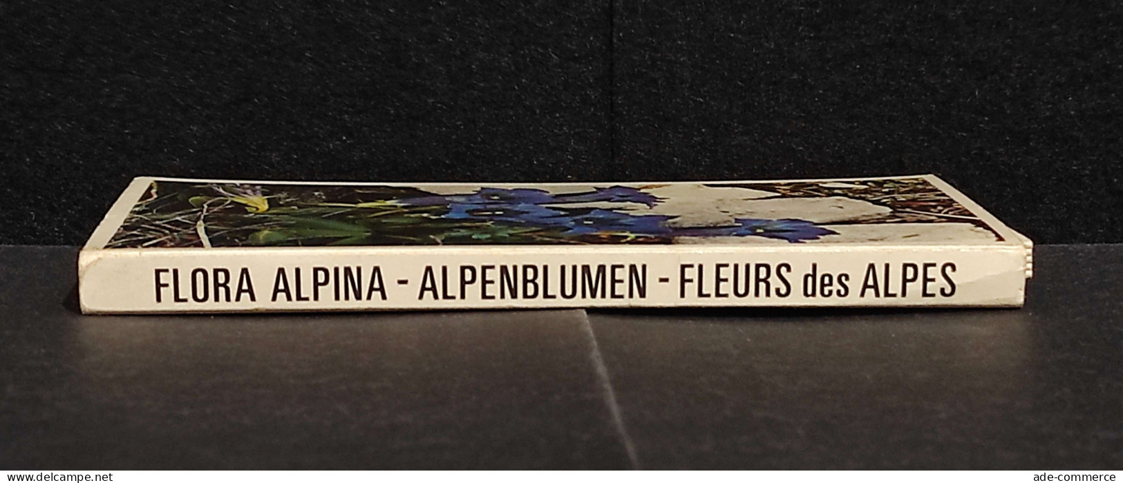 Flora Alpina - Alpenblumen - Fleurs Des Alpes - Jardinería