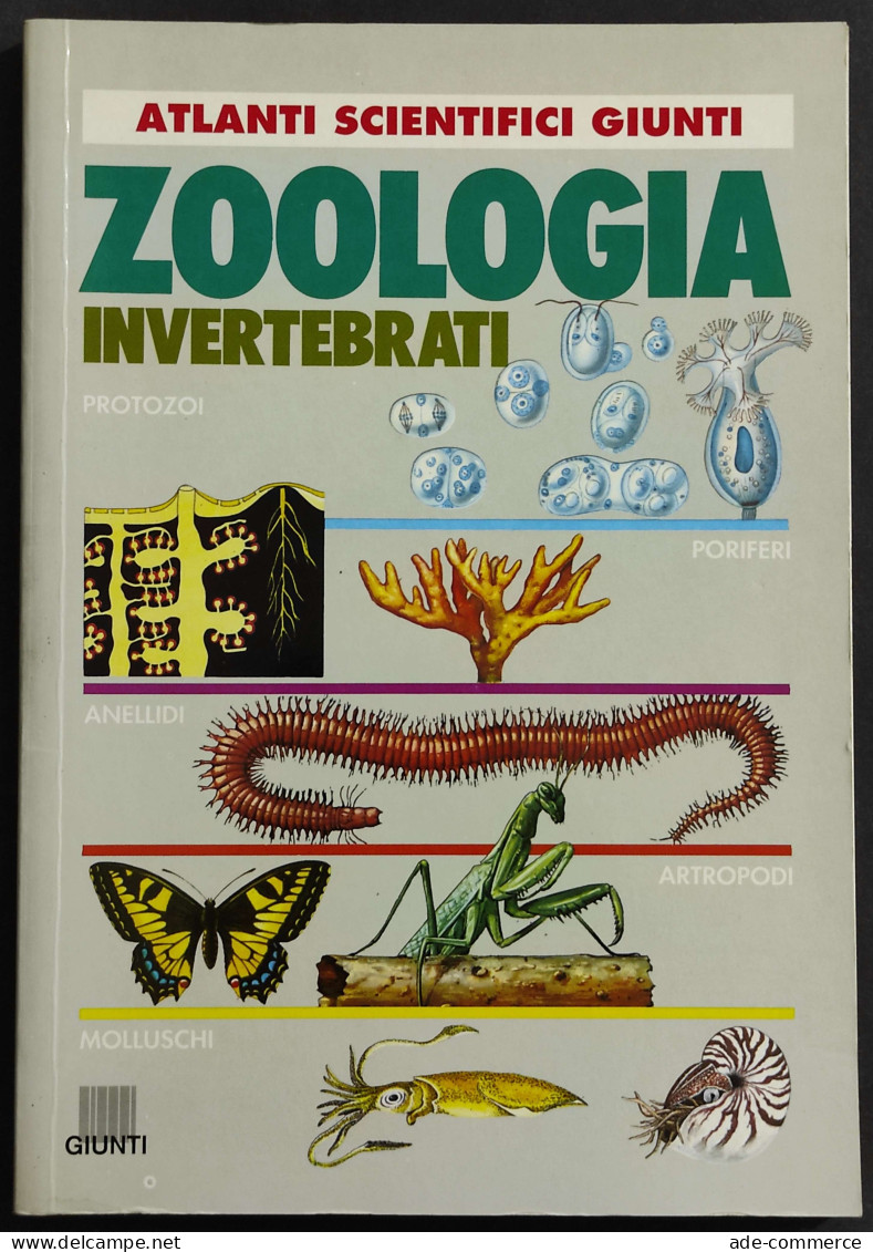 Atlanti Scientifici - Zoologia Invertebrati - Ed. Giunti - 1993 - Animales De Compañía