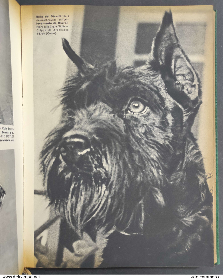 Le Razze Canine - F. Fiorone - 1955 - Gezelschapsdieren
