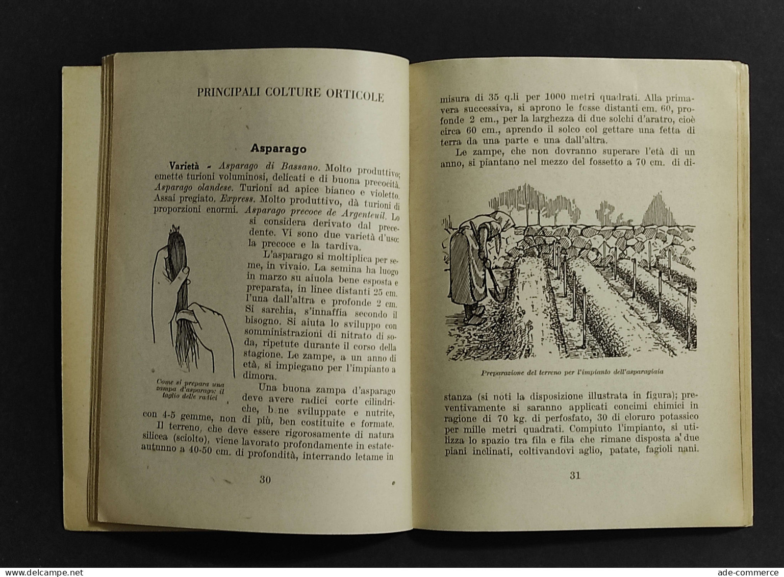 L'Orto Famigliare - E. Bassi - Ed. Degli Agricoltori - 1939 - Jardinería