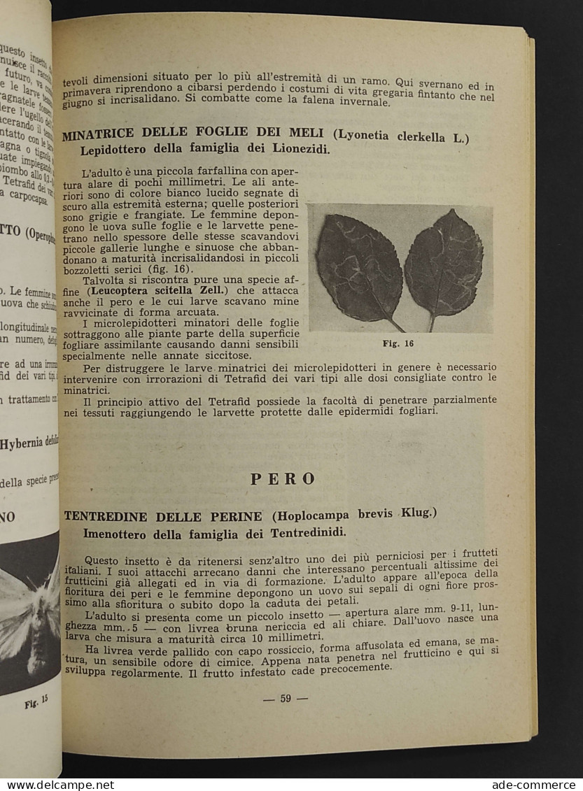 La Difesa Delle Colture Agricole E Degli Allevamenti - 1953 - Jardinería