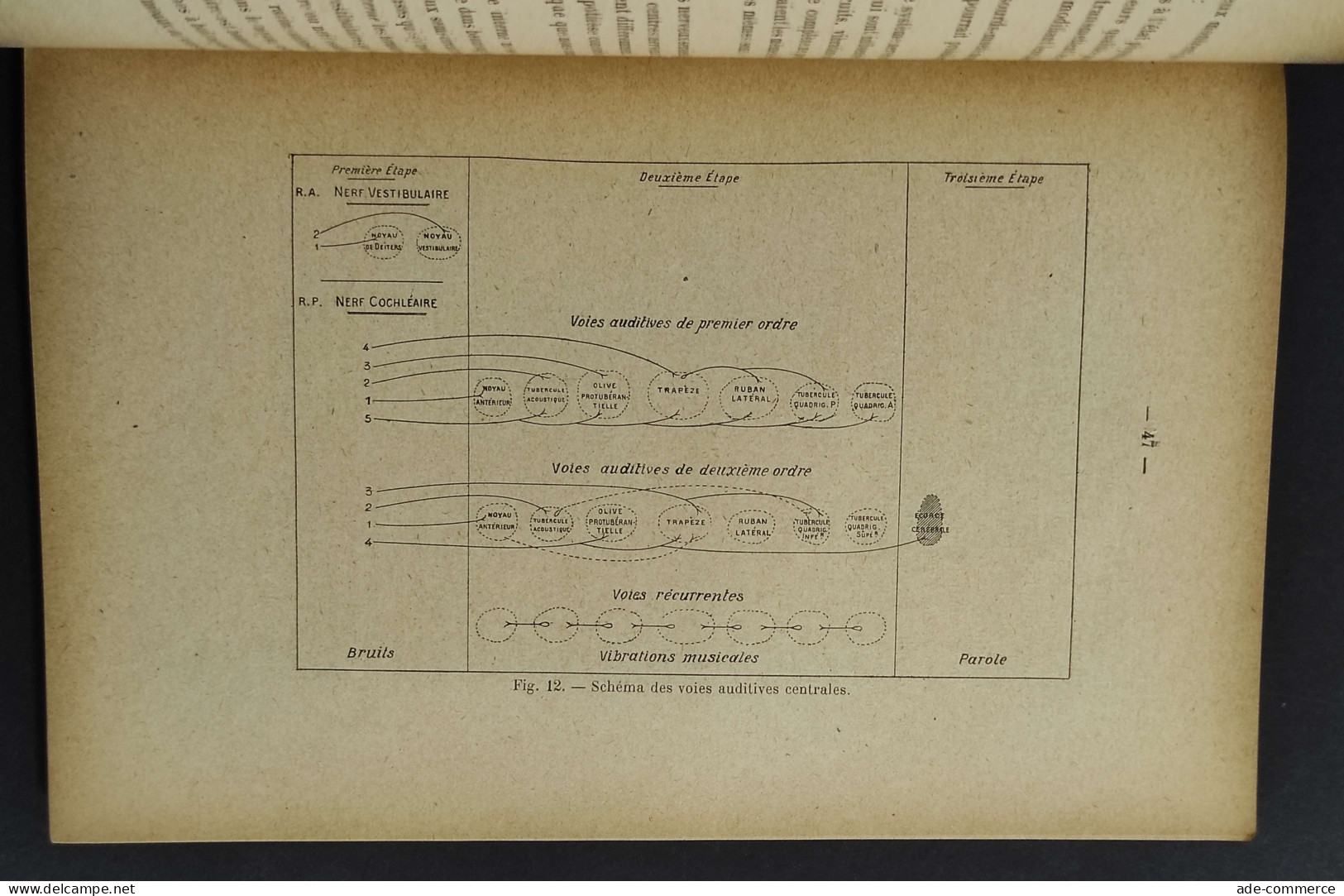 L'Audition Et Ses Variantions - Marage -Ed. Gauthier-Villars - 1923 - Mathématiques Et Physique