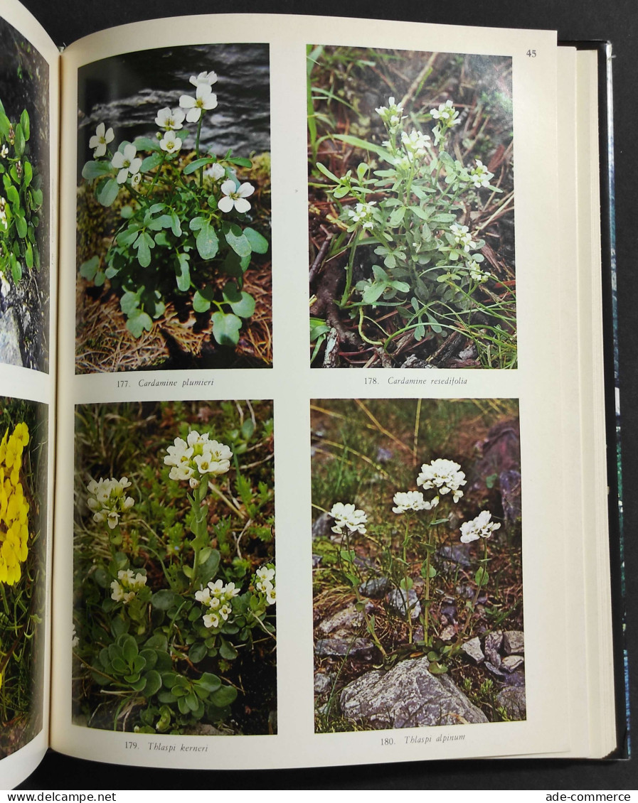 I Fiori Delle Alpi - F. Rasetti - 1980 - Gardening