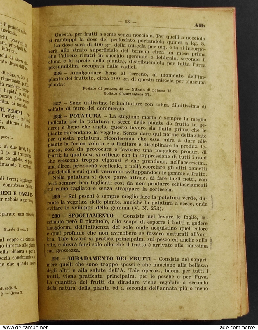 Ricettario Domestico - I. Ghersi - Ed. Manuali Hoepli - 1924 - Manuali Per Collezionisti