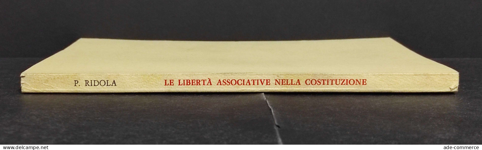 Le Libertà Associative Nella Costituzione - P. Ridola - 1983 - Société, Politique, économie