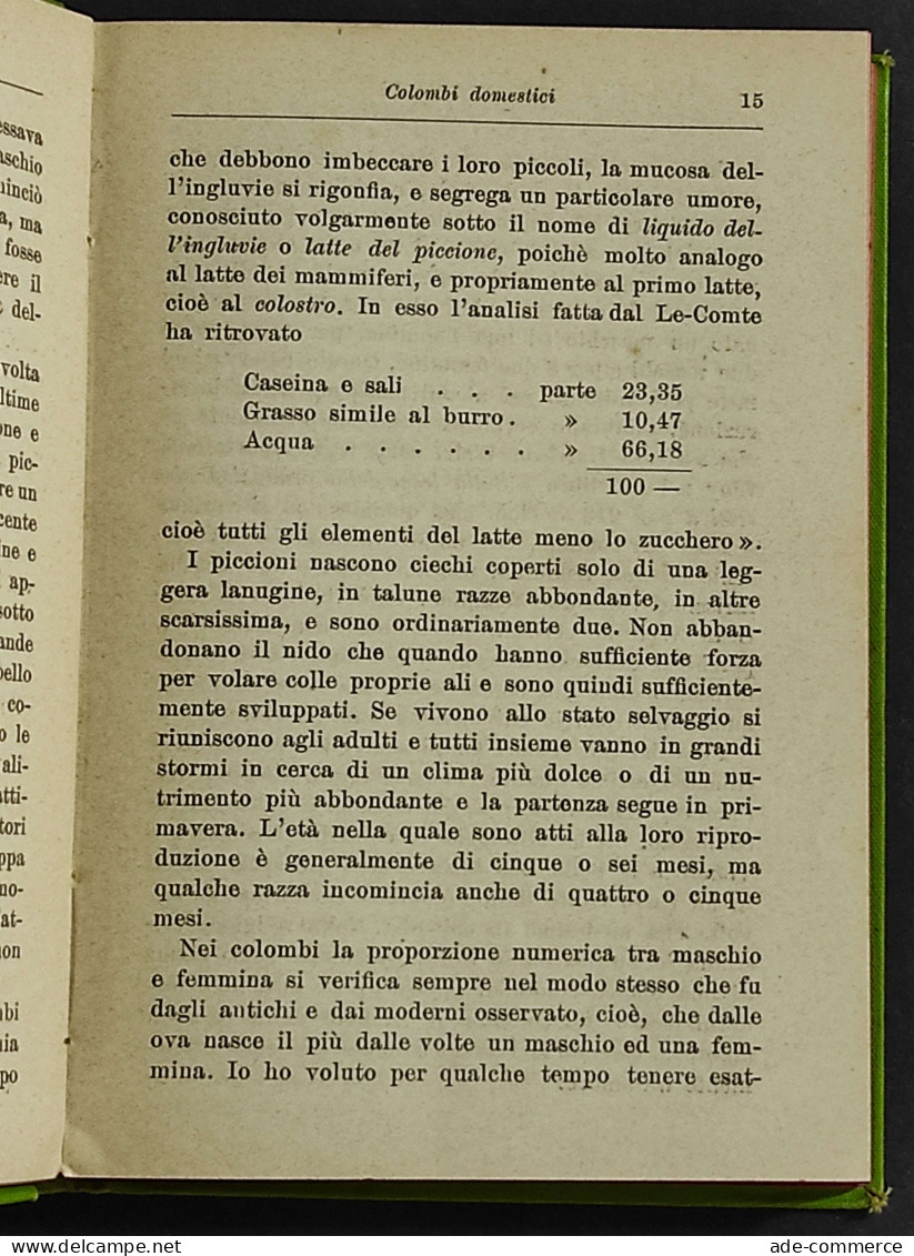 Colombi Domestici E La Colombicultura - P. Bonizzi - Ed. Hoepli - 1902 - Handbücher Für Sammler