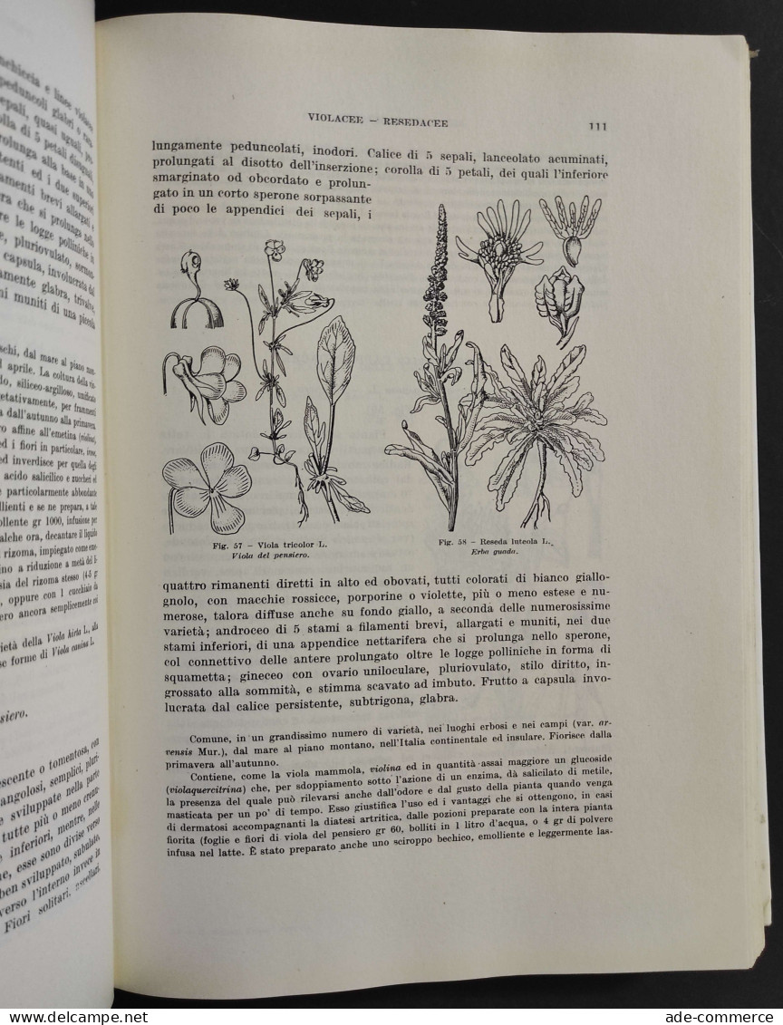 Nuovo Erbario Figurato - G. Negri - Ed. Hoepli - 1979 - Jardinería