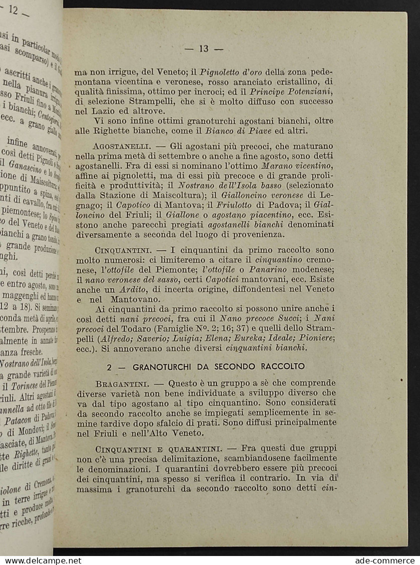 Il Granoturco - T.V. Zapparoli - Ed. REDA - 1934 - Giardinaggio