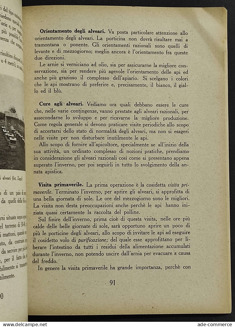 Apicoltura Moderna - A. Zoppi-Recordati - Ed. REDA - 1942 - Animaux De Compagnie