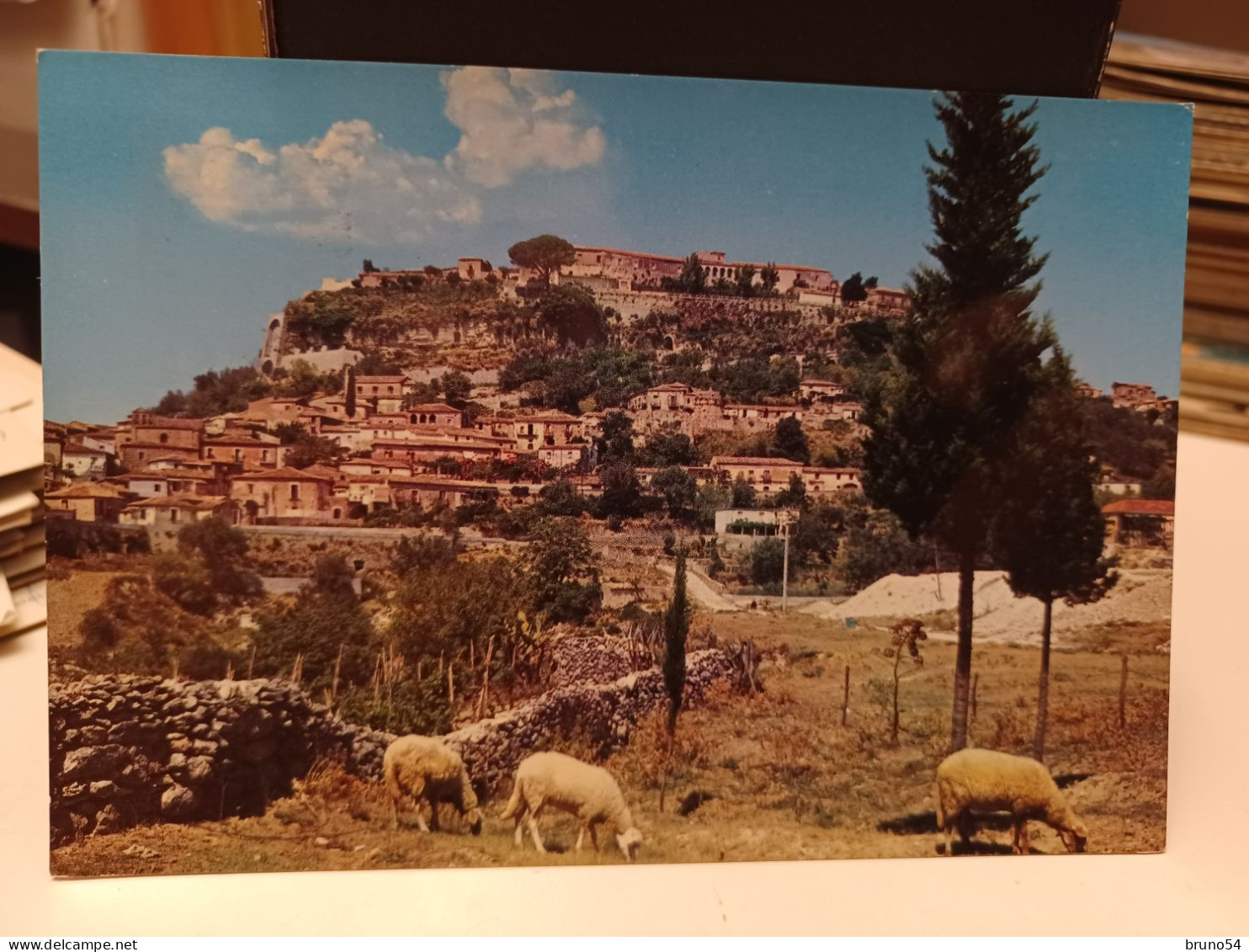 Cartolina Gerace Provincia Reggio Calabria, Panorama, Pecore 1978 - Reggio Calabria