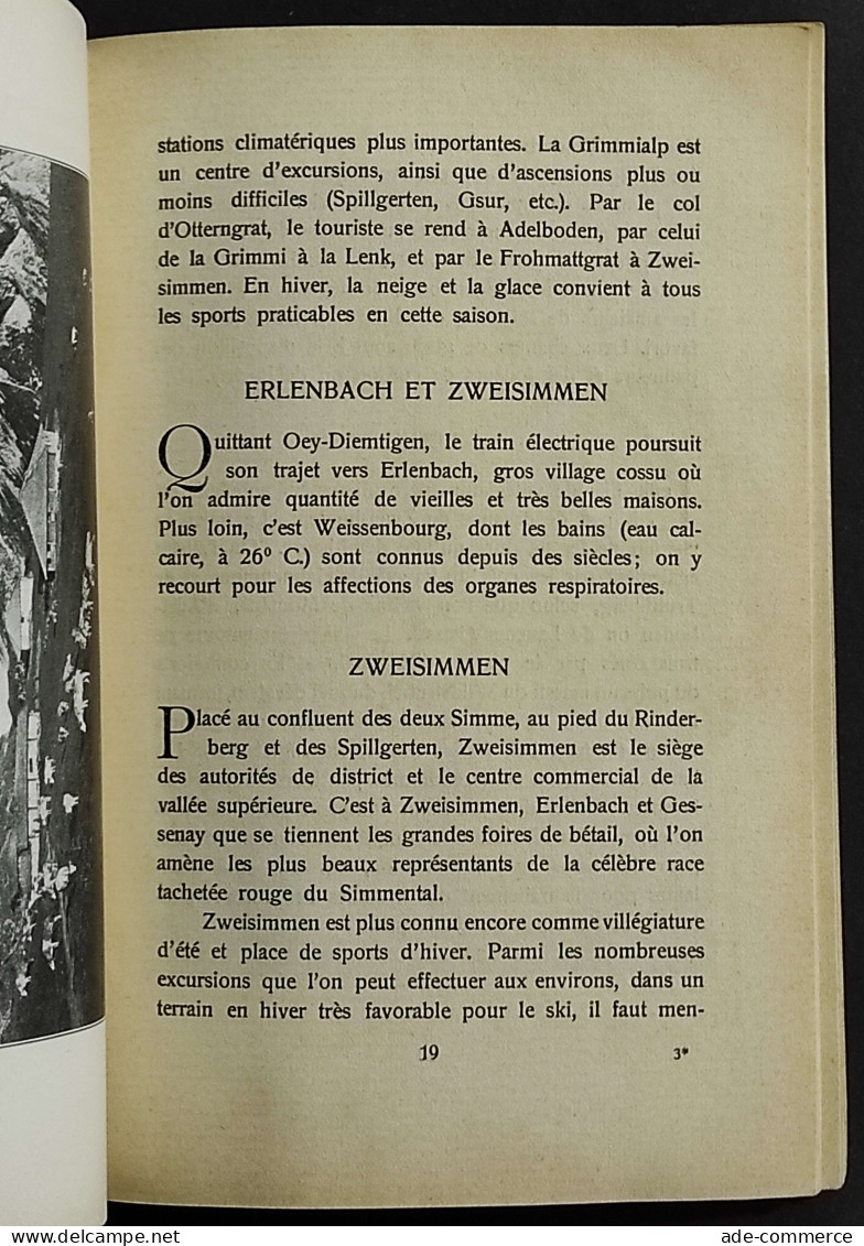 Guide Illustré De L'Oberland Bernois Et La Ligne Du Loetschberg -1922 - Tourismus, Reisen