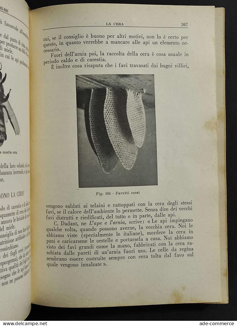 Cinquant'anni Con Le Api E Gli Apicoltori - G. Angeleri - 1955 - Animaux De Compagnie