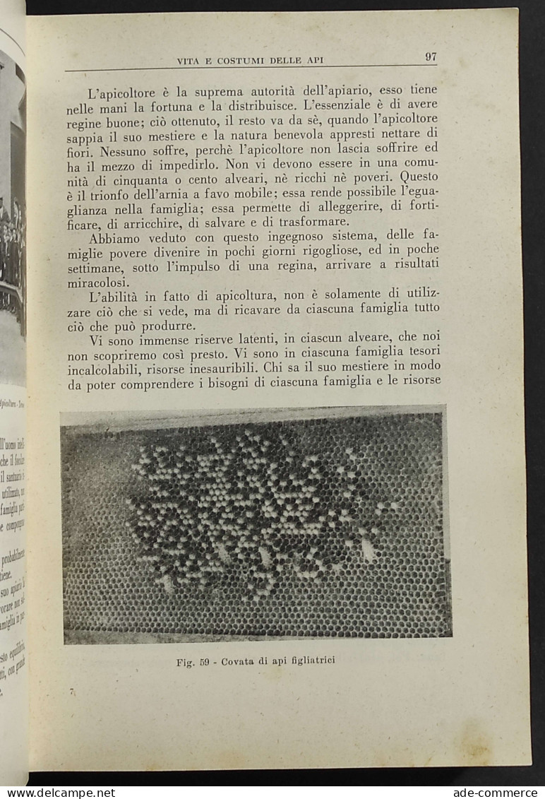 Cinquant'anni Con Le Api E Gli Apicoltori - G. Angeleri - 1955 - Animali Da Compagnia