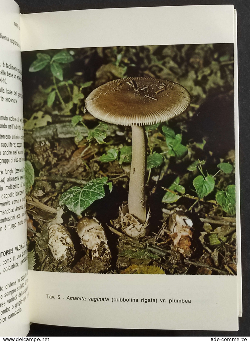 Funghi Eduli E Velenosi - Come Distinguerli - Ricette - C. Sportelli - 1974 - Gardening