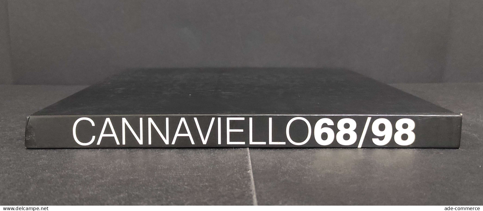 Cannaviello 68/98 - I. Ventriglia - Ed. Pironti - 1998 - Kunst, Antiek