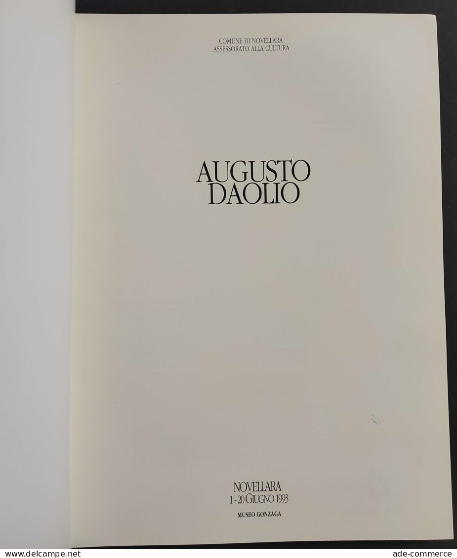 Augusto Daolio - Museo Gonzaga - 1993 - Kunst, Antiek