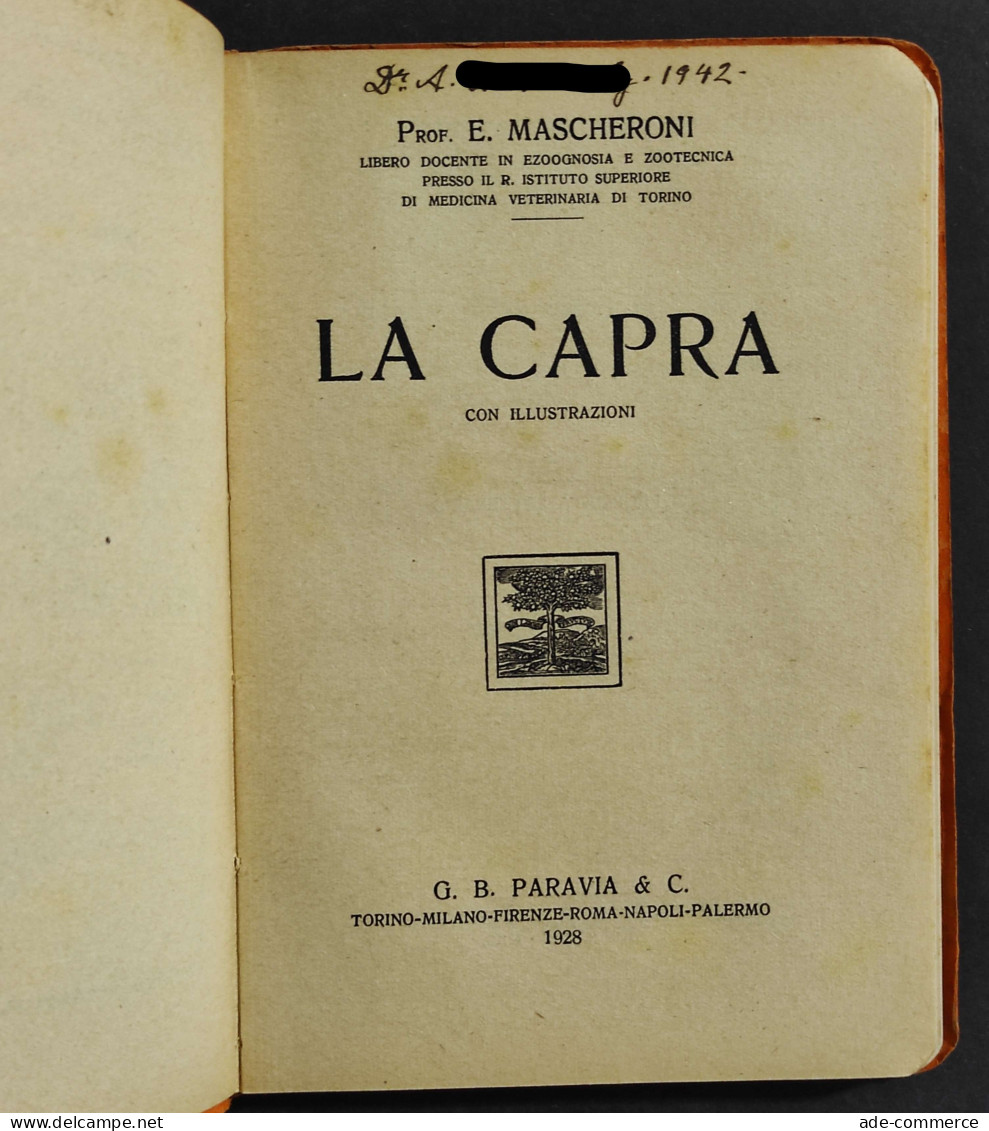 La Capra - E. Mascheroni - Ed. Paravia - 1928 - Animales De Compañía
