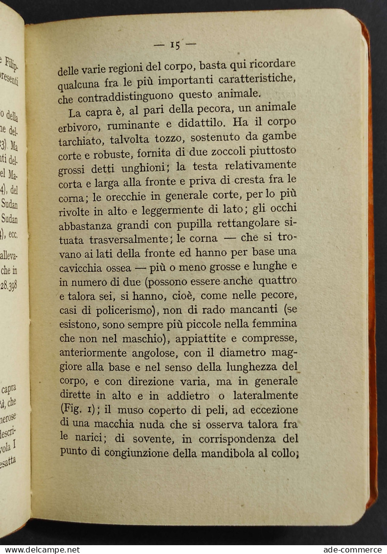 La Capra - E. Mascheroni - Ed. Paravia - 1928 - Animales De Compañía