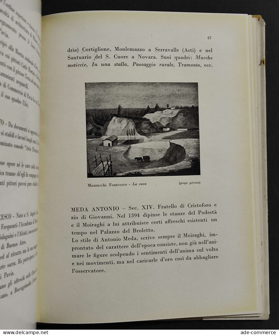 Dizionario Dei Pittori Pavesi - D. Morani - Ed. Alfieri & Lacroix - 1948 - Kunst, Antiquitäten