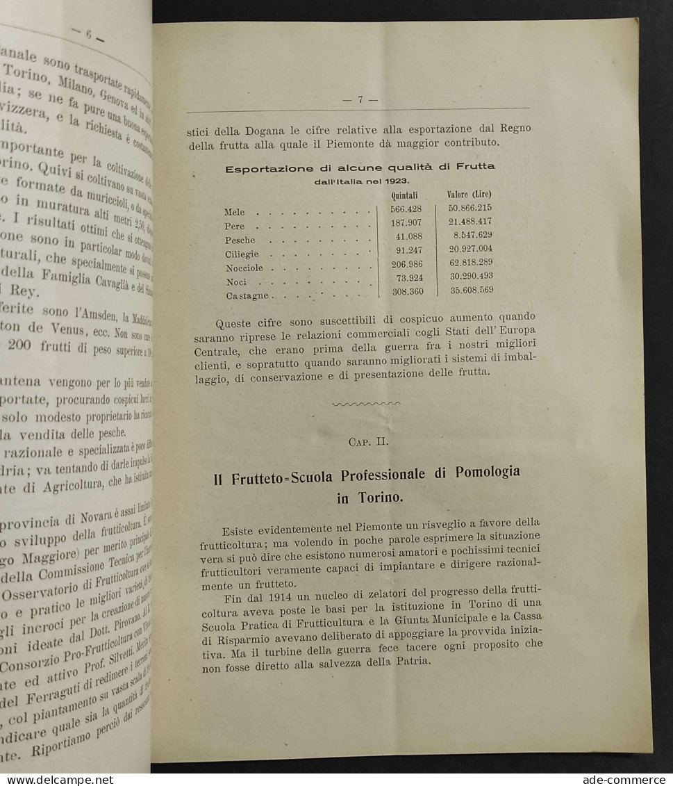 La Frutticoltura Nel Piemonte - Scuola Di Pomologia - S. Lissone - 1924 - Gardening