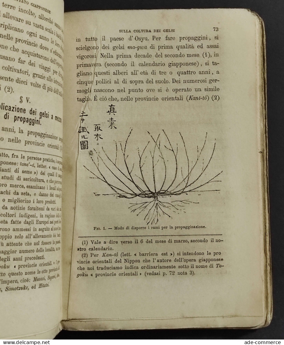 Trattato Educazione Bachi Da Seta Al Giappone - Senday - Ed. Brigola - 1870 - Tiere