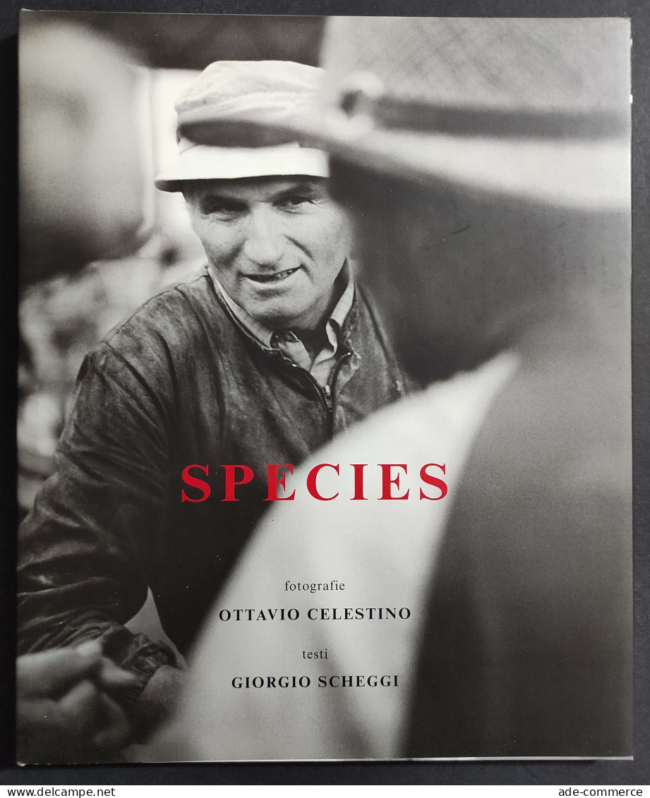 Species - G. Scheggi - O. Celestino - 2002 - Fotografie