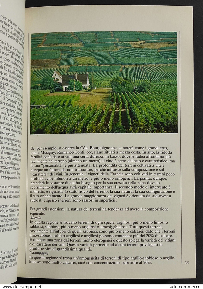 Guida Ai Vini Di Francia - L. Peronetto - Ed. Mondadori - 1981 - House & Kitchen